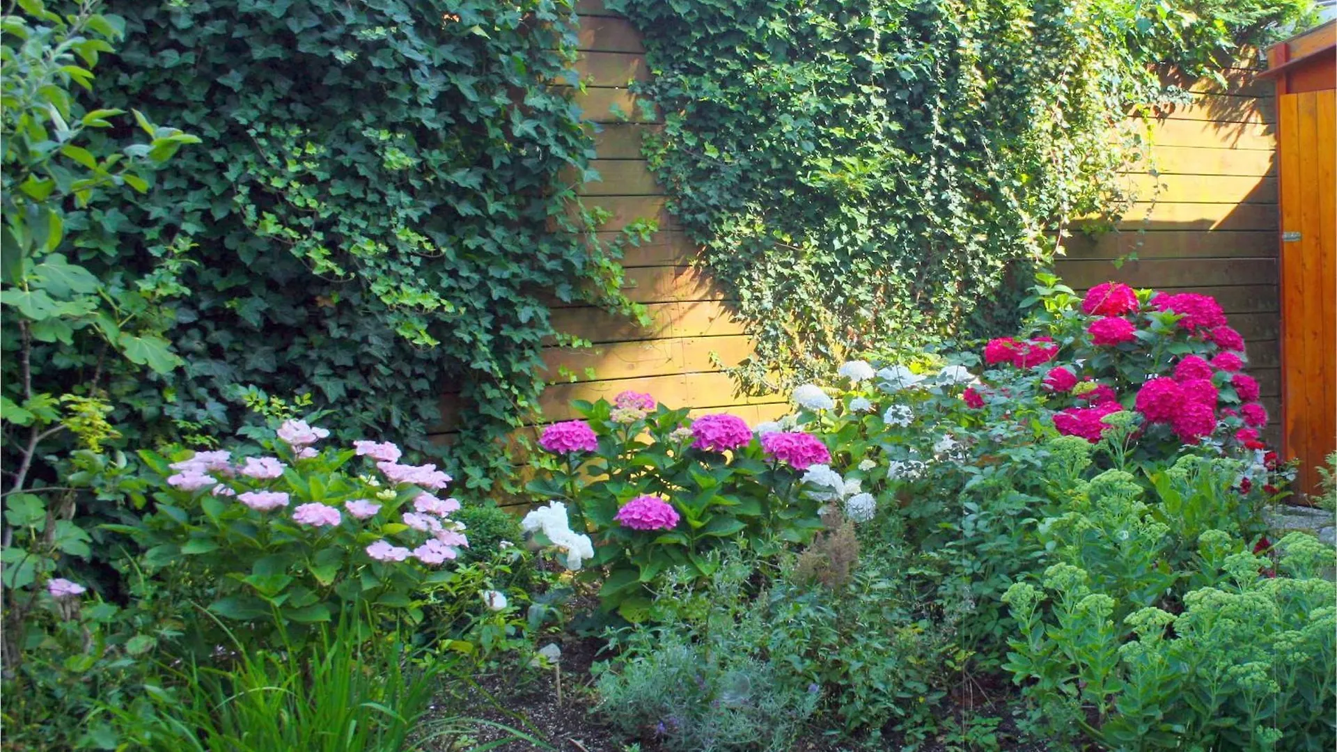 Bed & Breakfast Xaviera'S Bed And Breakfast Amsterdam