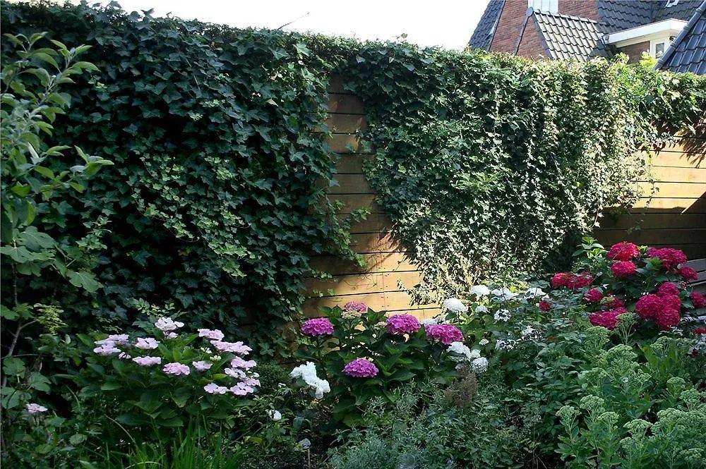 Xaviera'S Bed And Breakfast Amsterdam 2*,  Netherlands